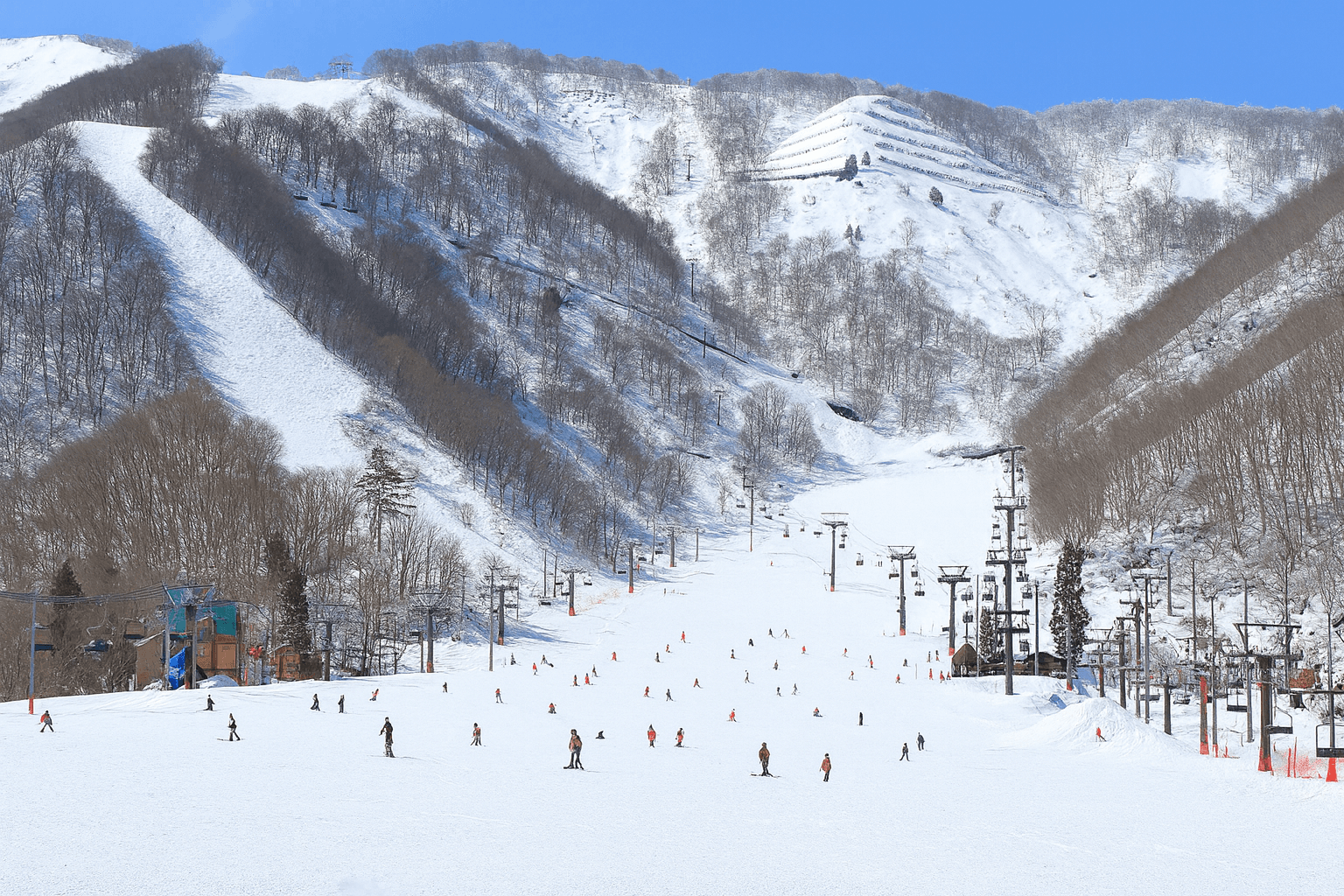 Hakuba 47
