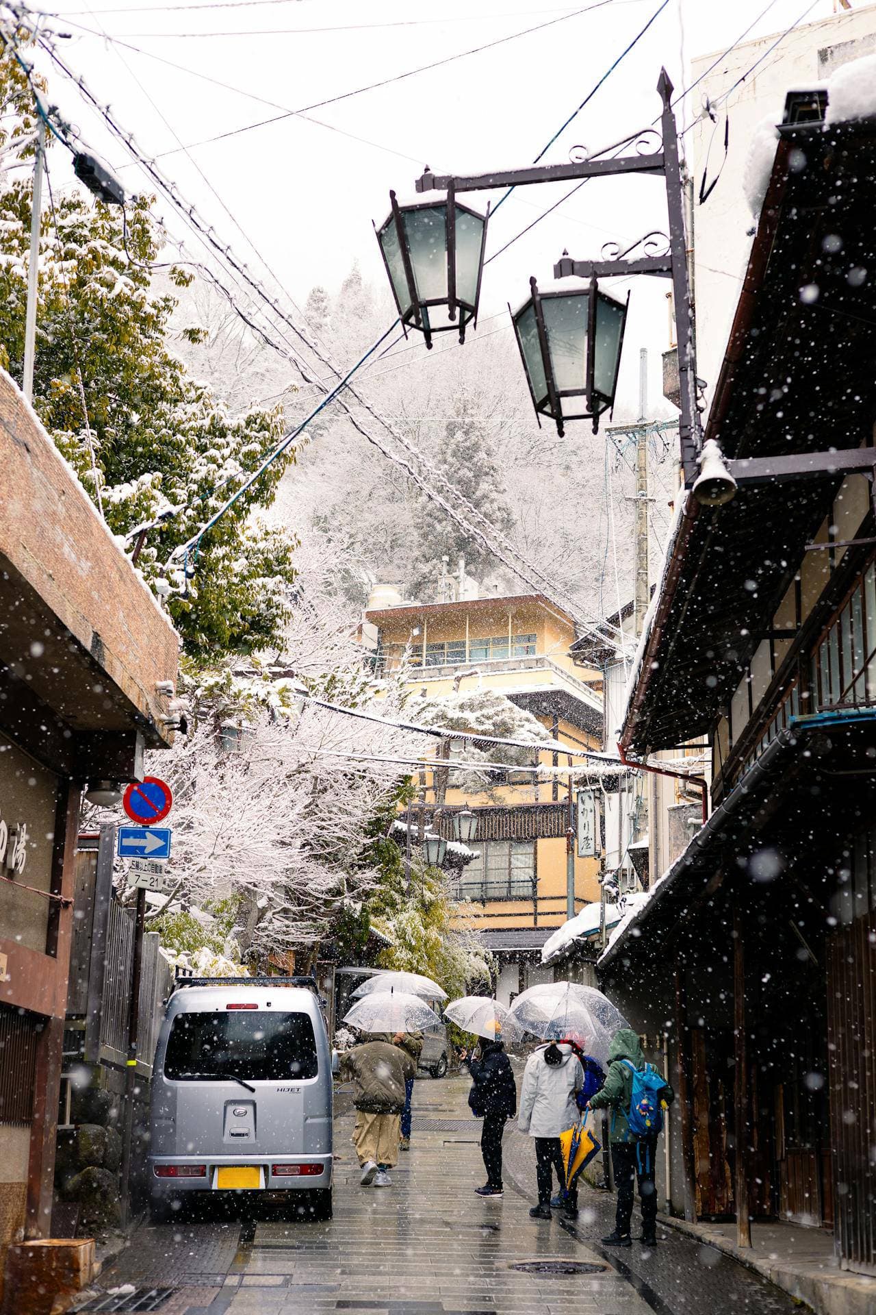 Nagano Alps with snowy bowls and tree lines